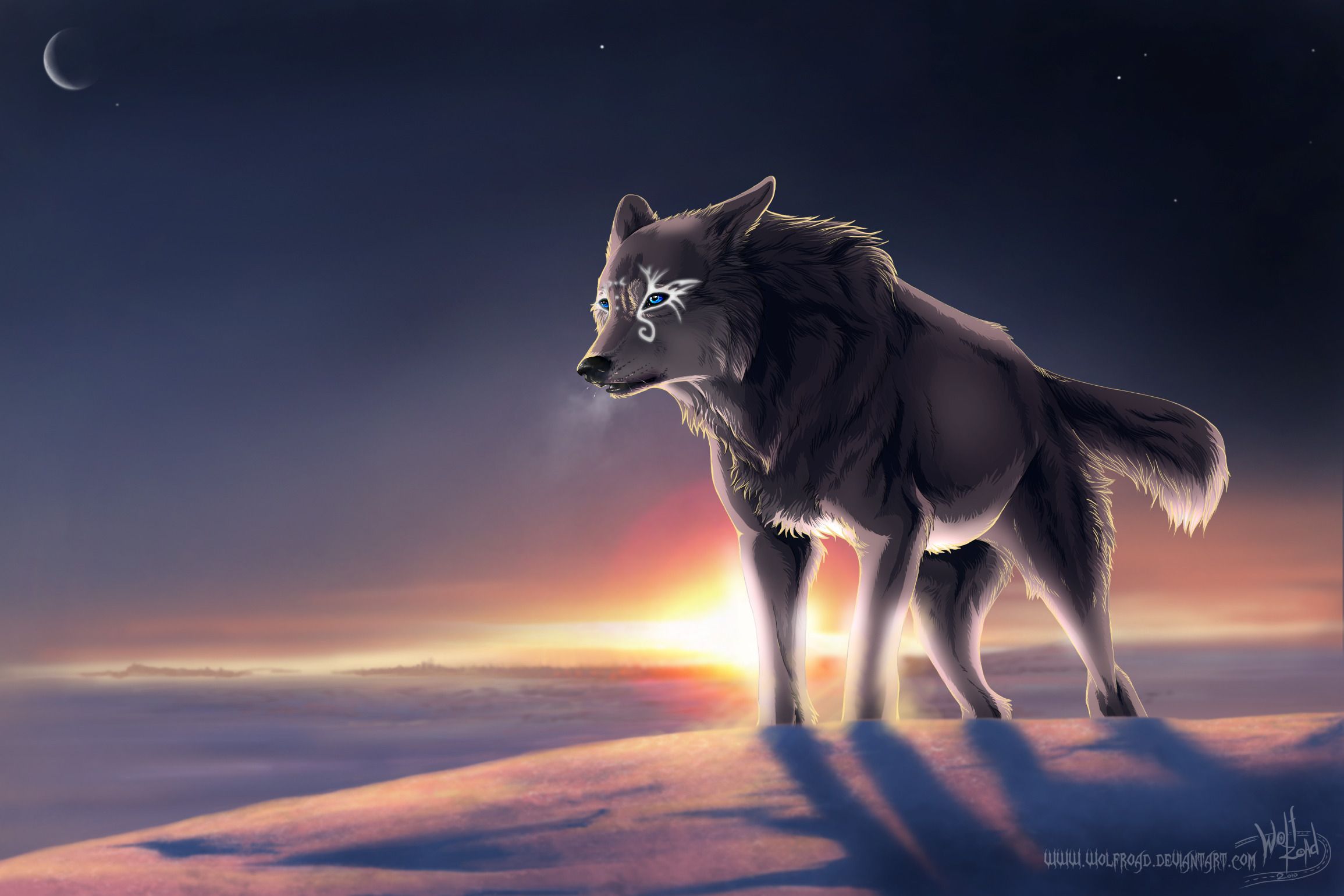 Magic Wolf Pictures Wallpapers