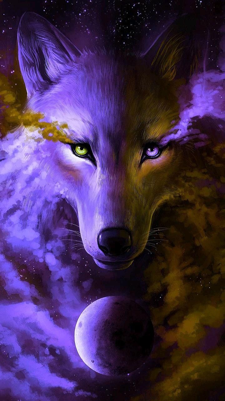 Magic Wolf Pictures Wallpapers