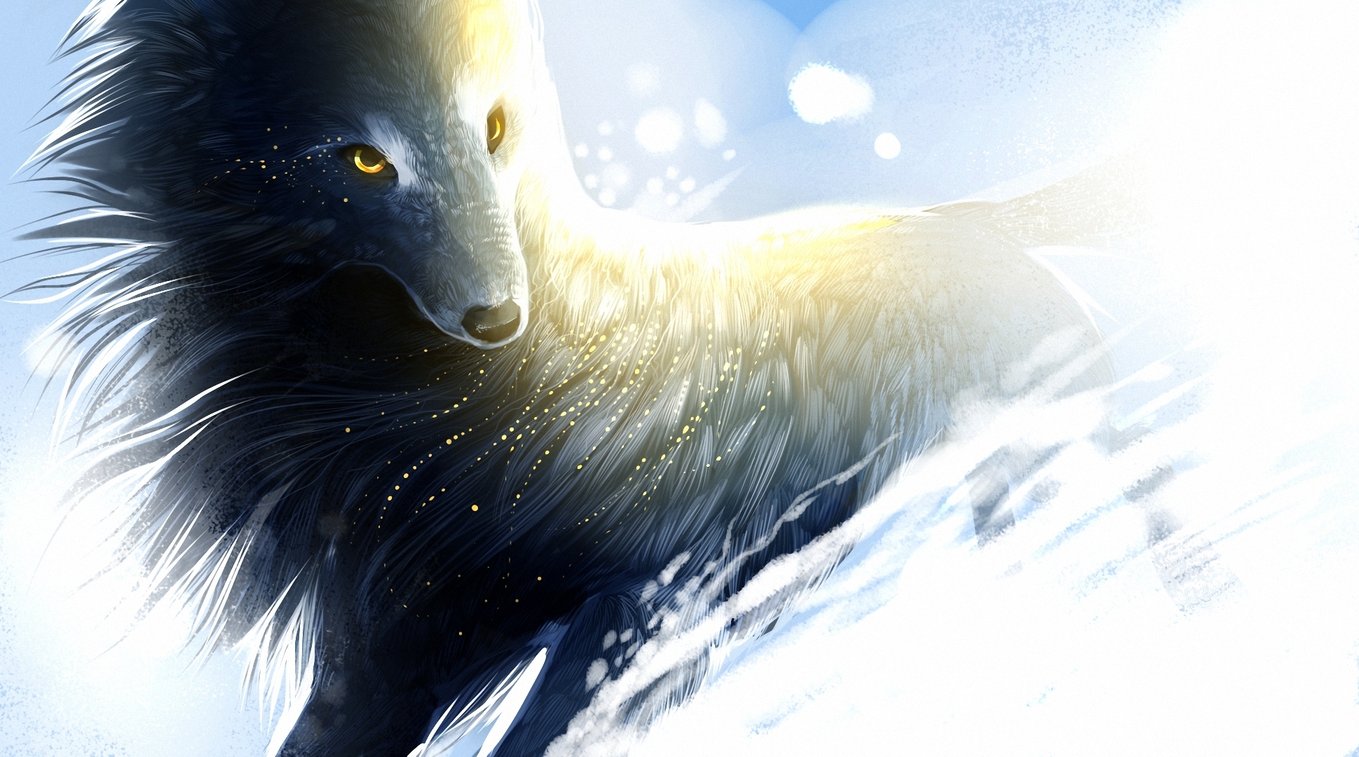 Magic Wolf Pictures Wallpapers