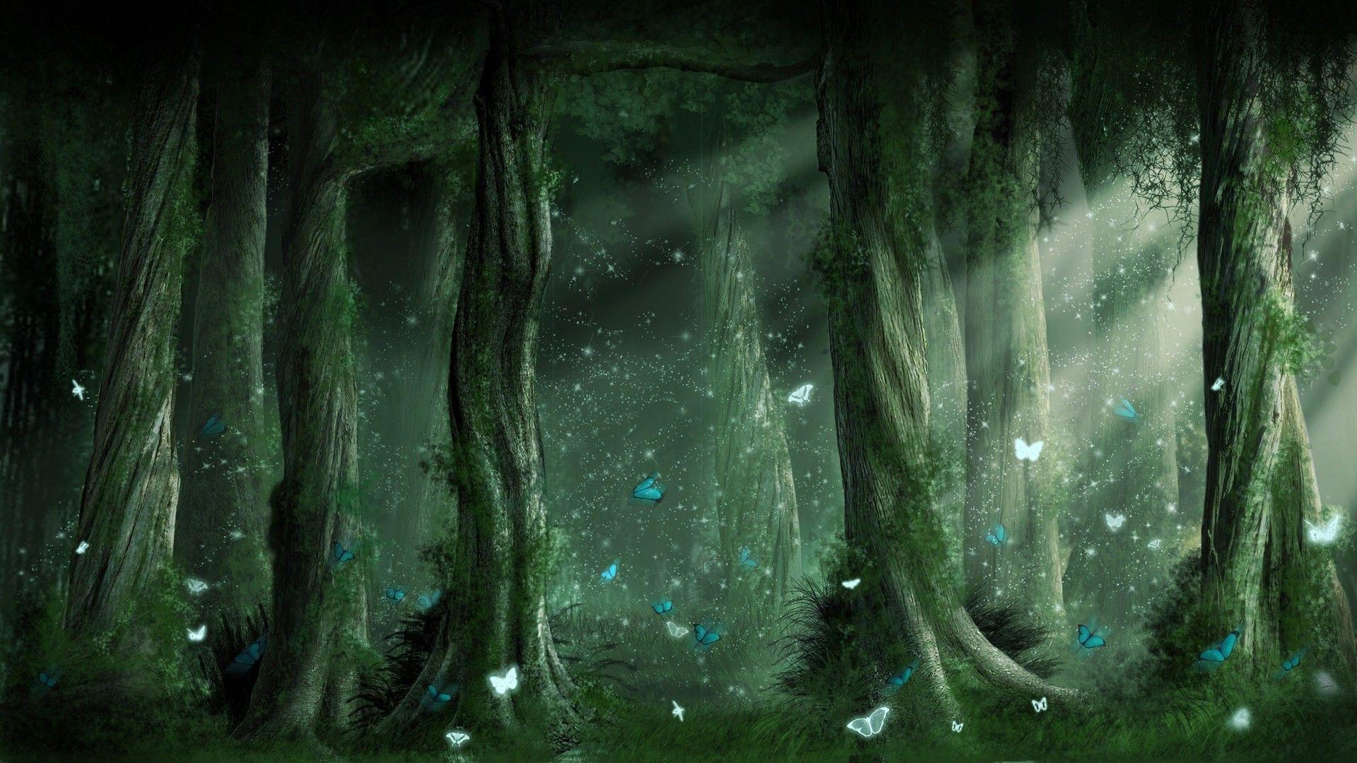 Magical Night Forest Wallpapers