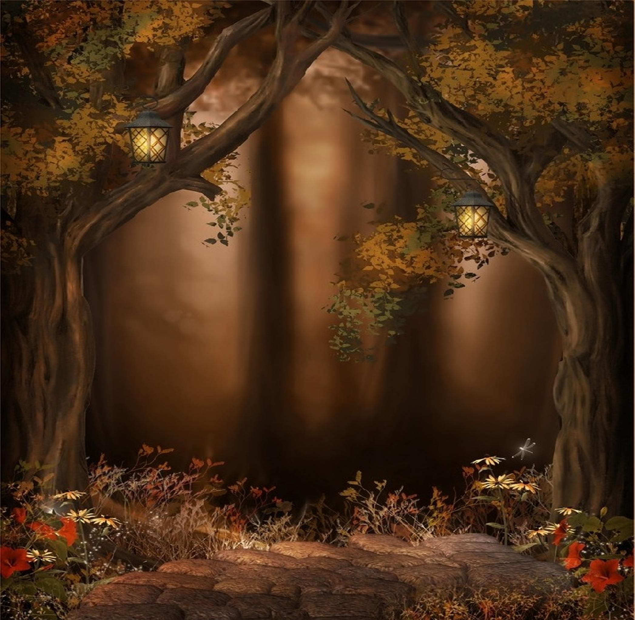Magical Night Forest Wallpapers