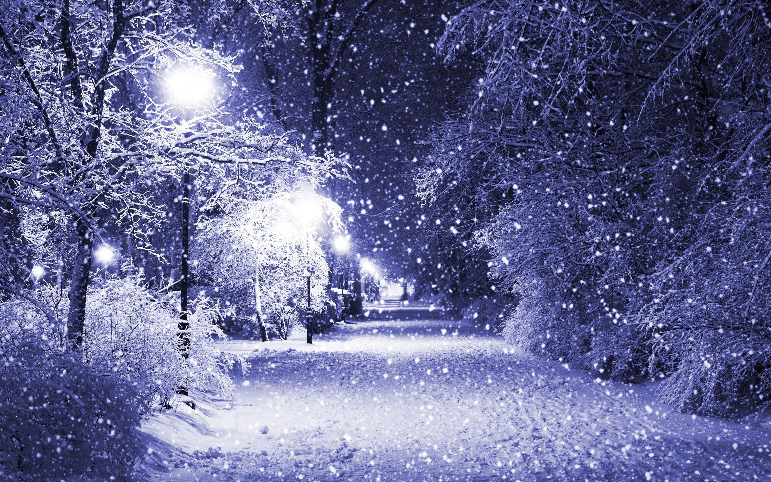 Magical Winter Wallpapers