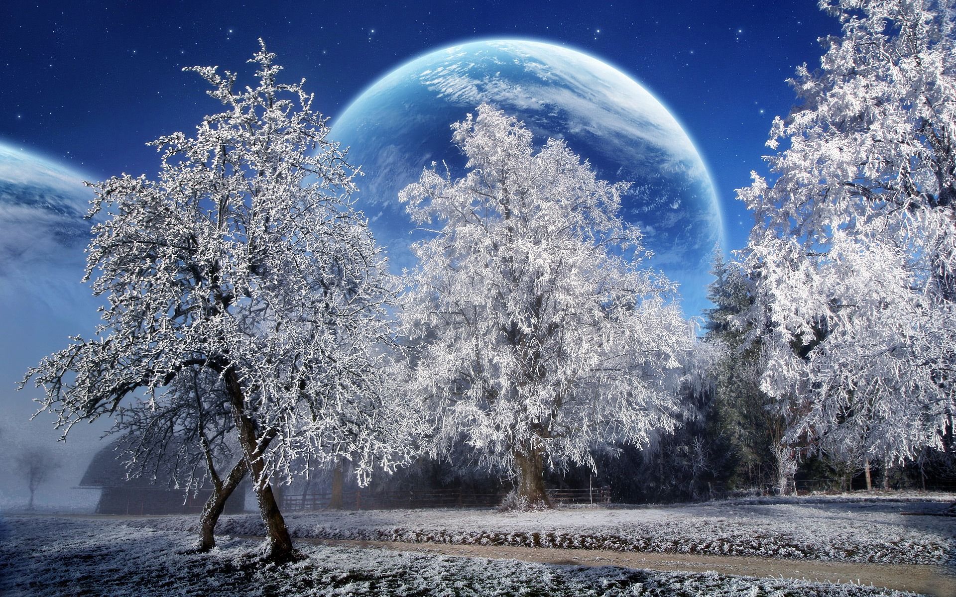 Magical Winter Wallpapers