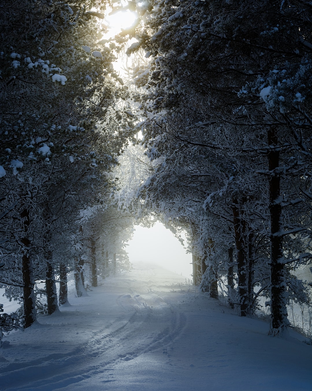 Magical Winter Wallpapers