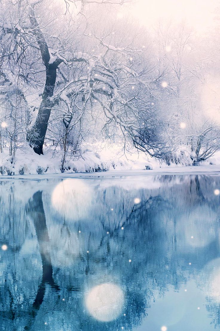 Magical Winter Wallpapers