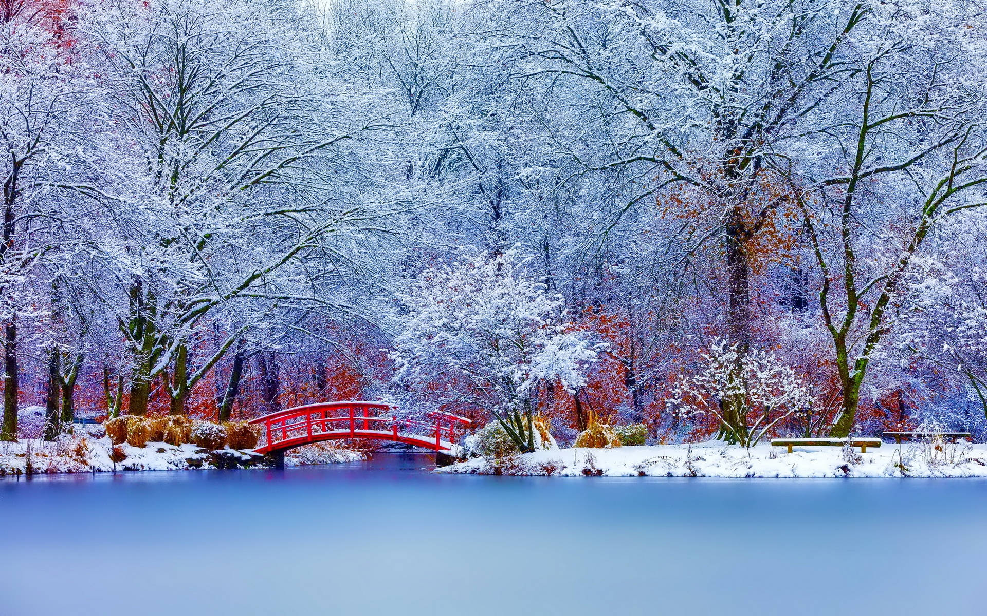 Magical Winter Wallpapers