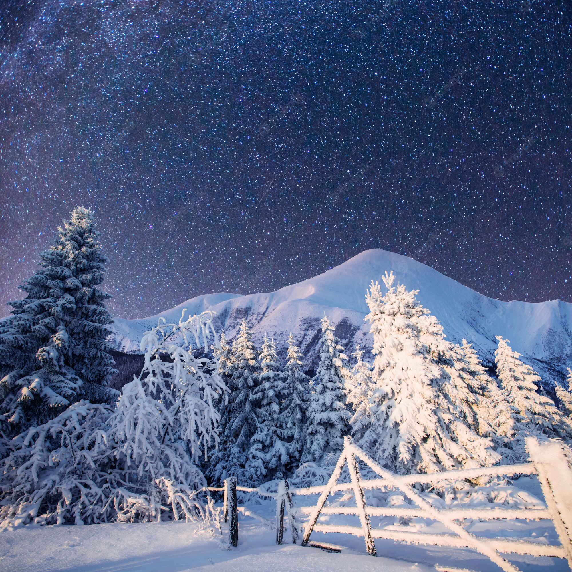 Magical Winter Wallpapers