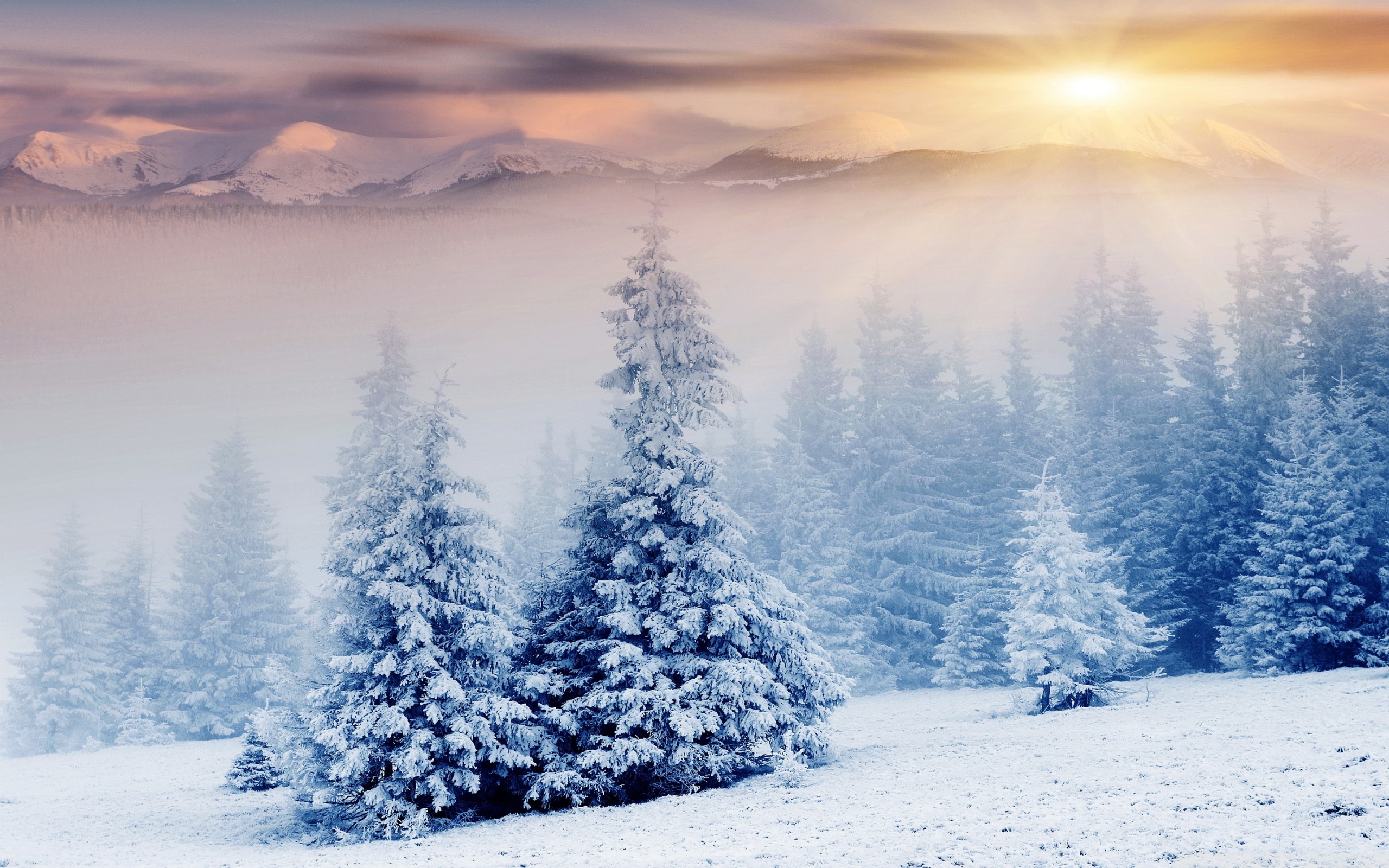 Magical Winter Wonderland Wallpapers