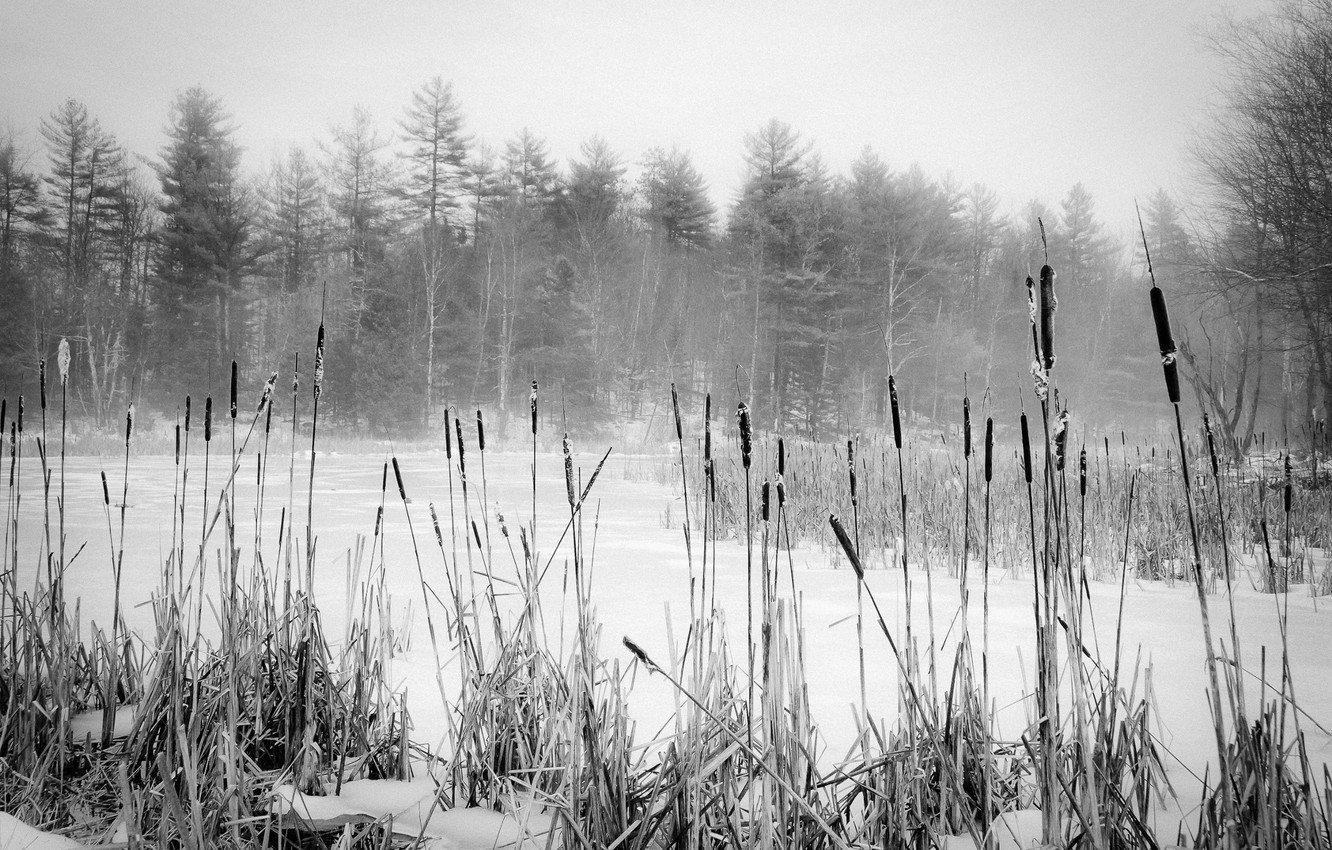Maine Winter Scene Wallpapers