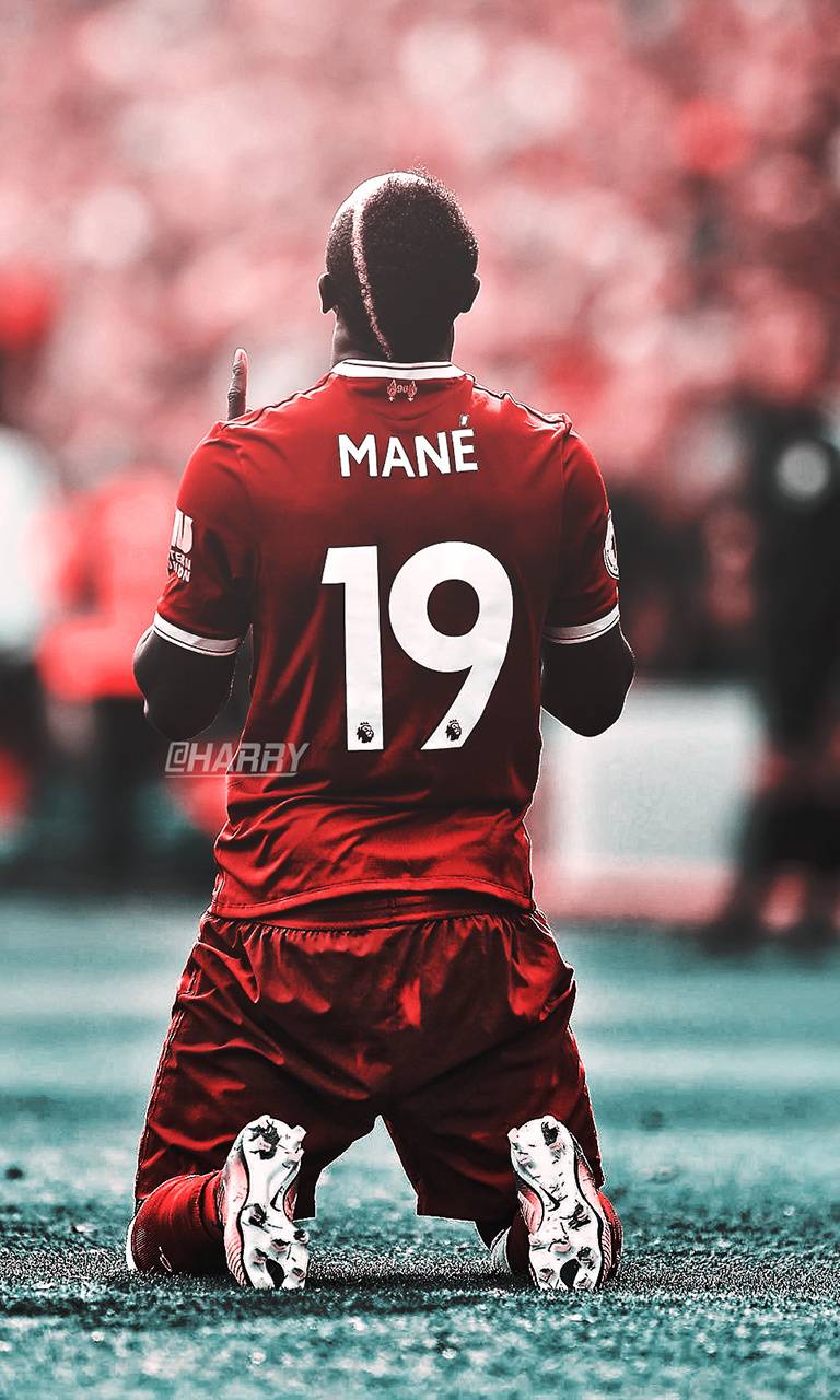 Mane Wallpapers