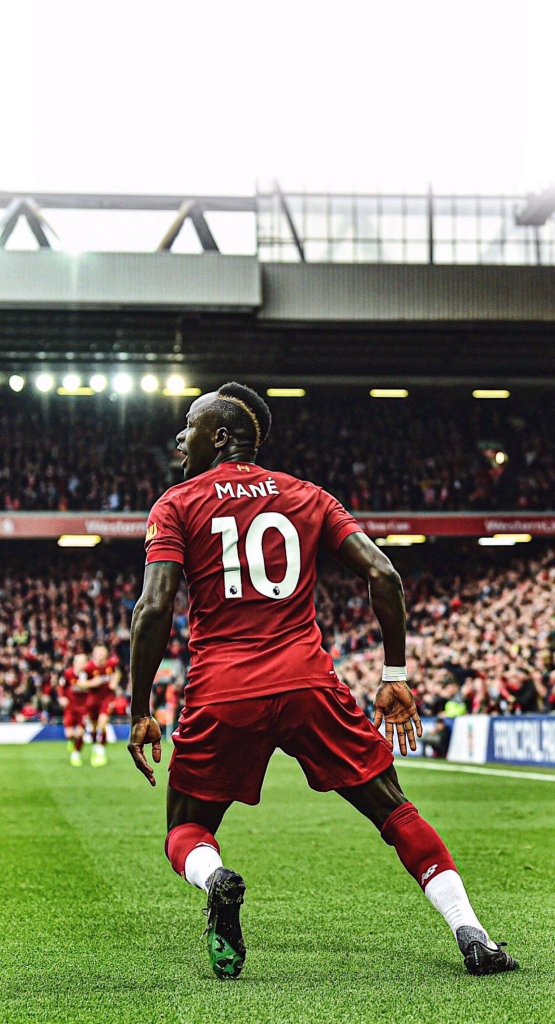 Mane Wallpapers