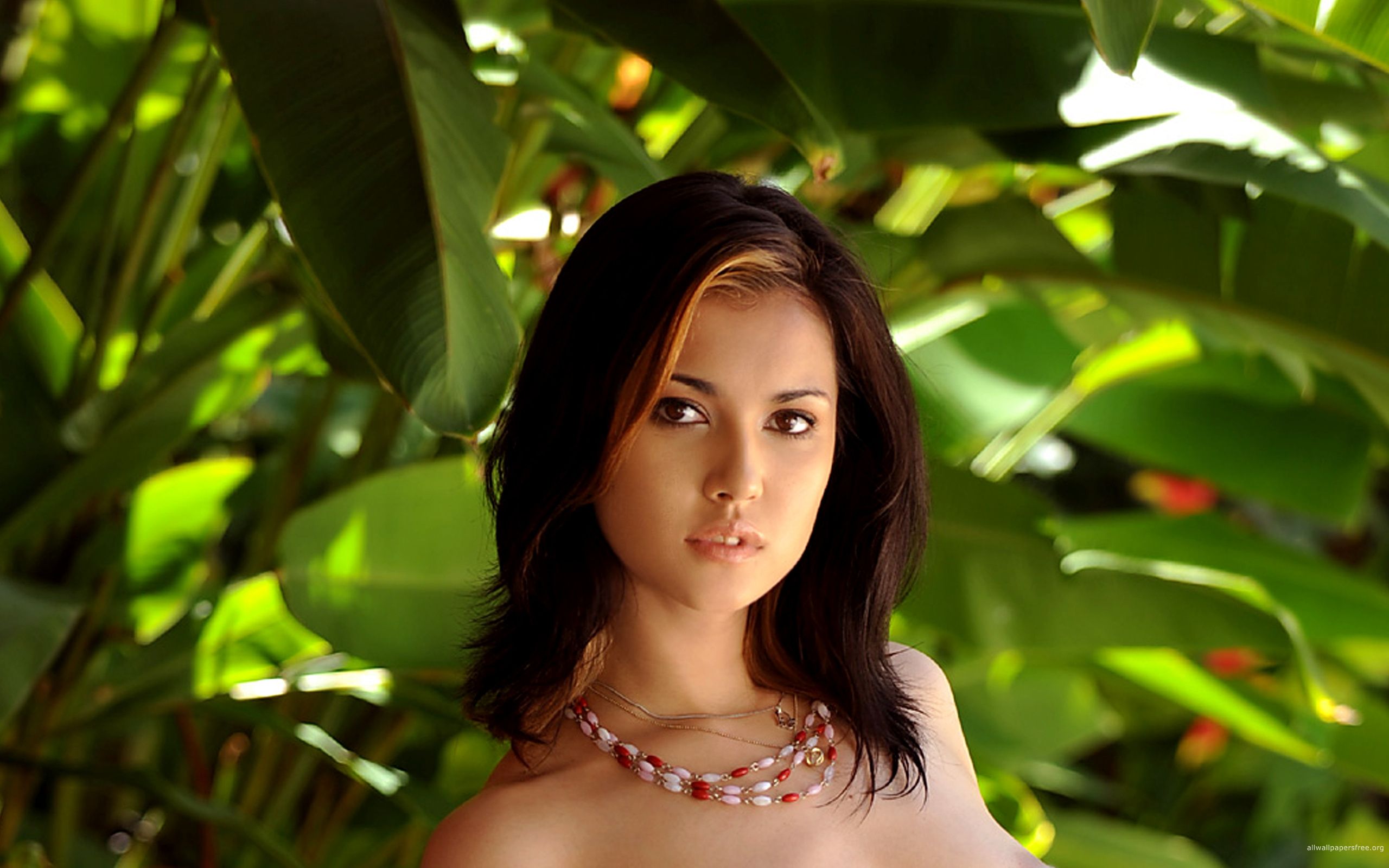 Maria Ozawa Wallpapers