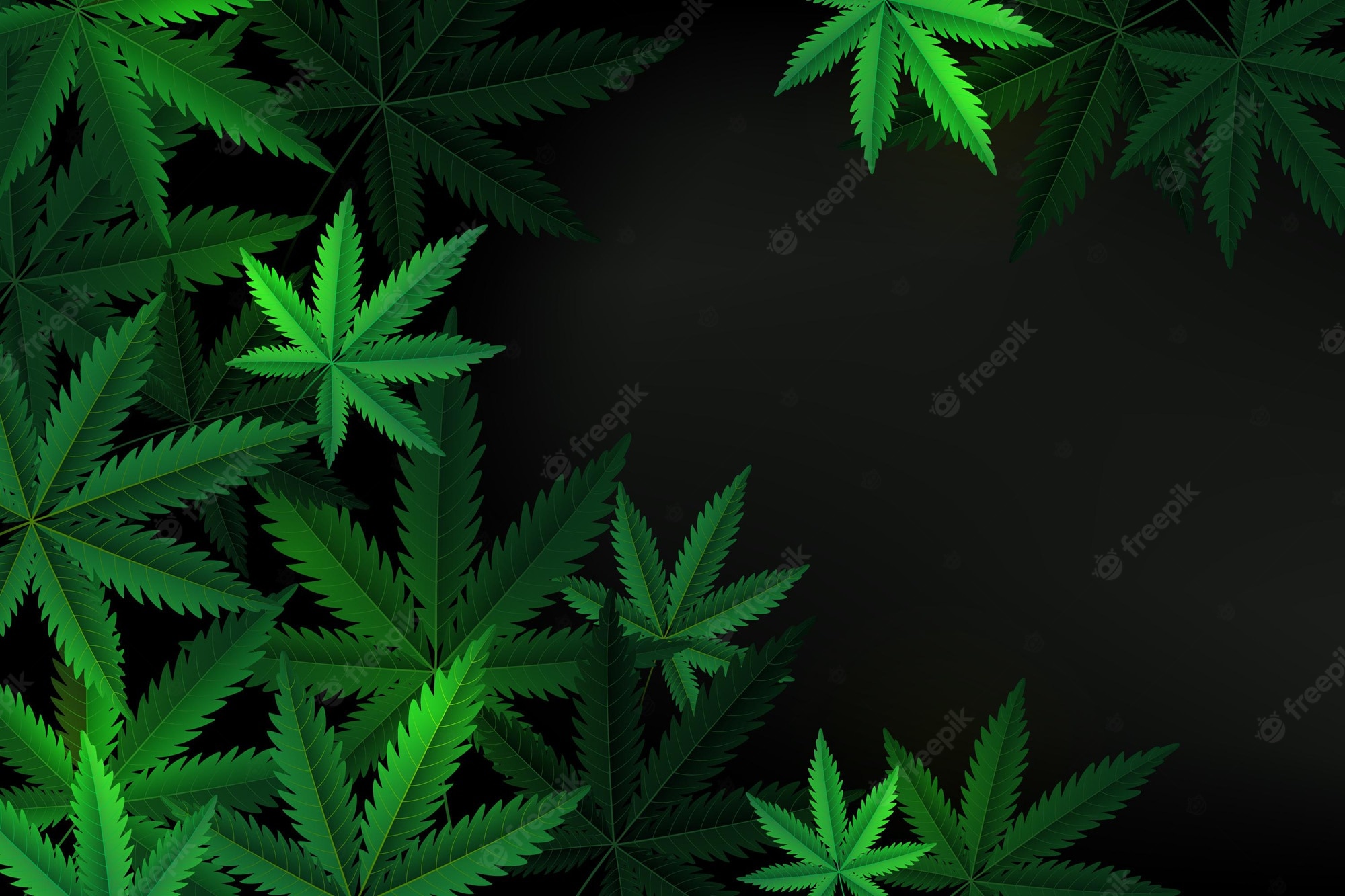 Marijuana Leaf Wallpapers