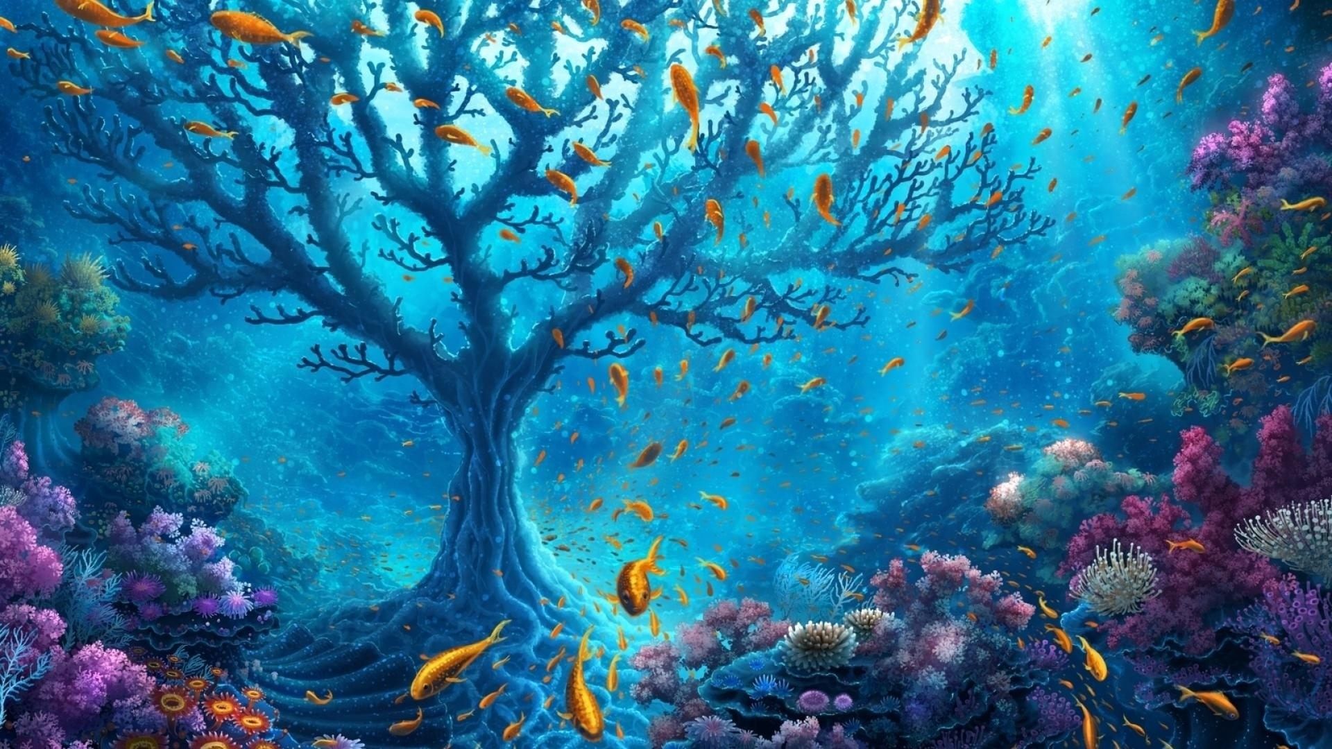 Marine Life Wallpapers