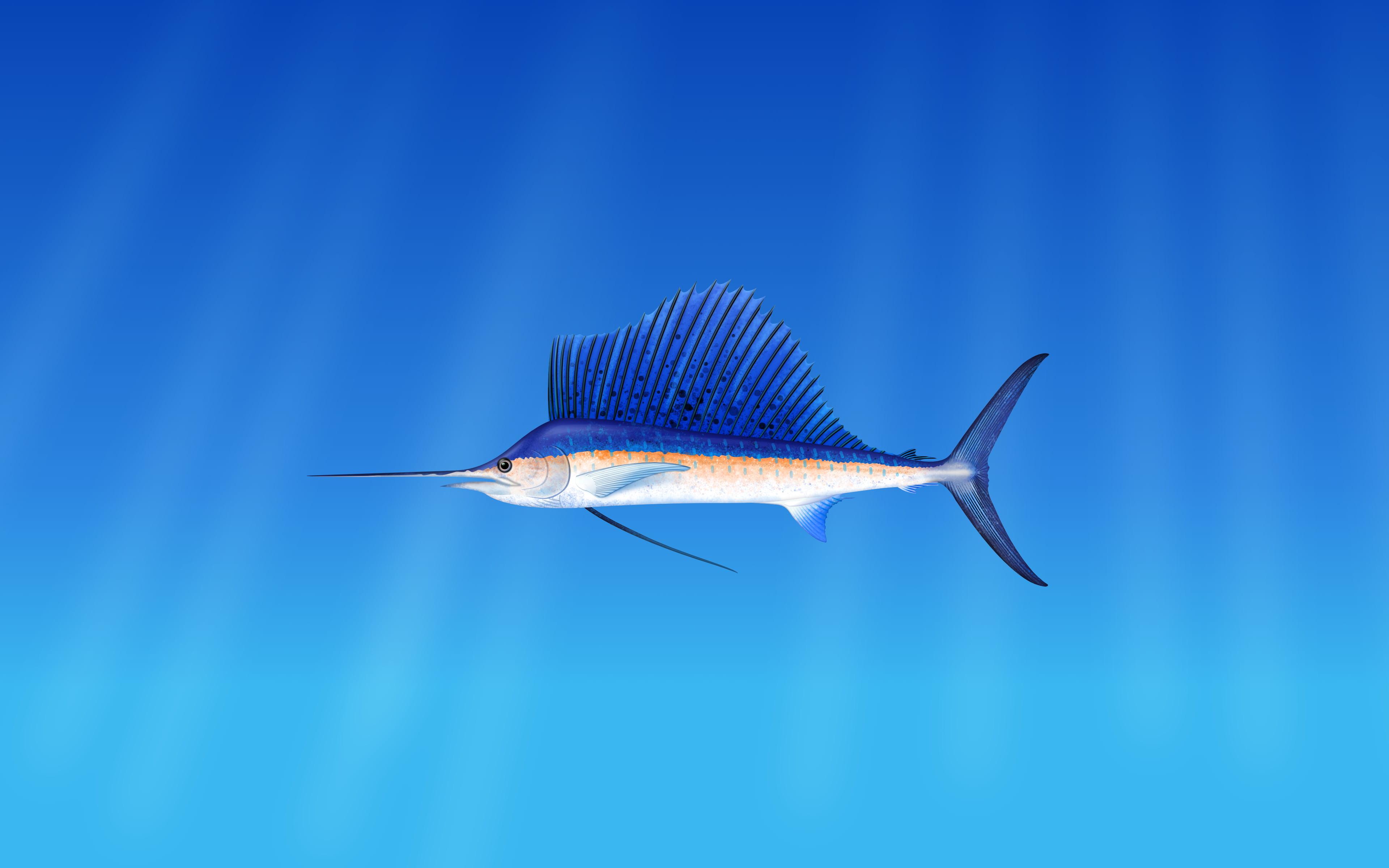 Marlin Wallpapers