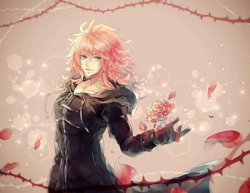 Marluxia Fanart Wallpapers