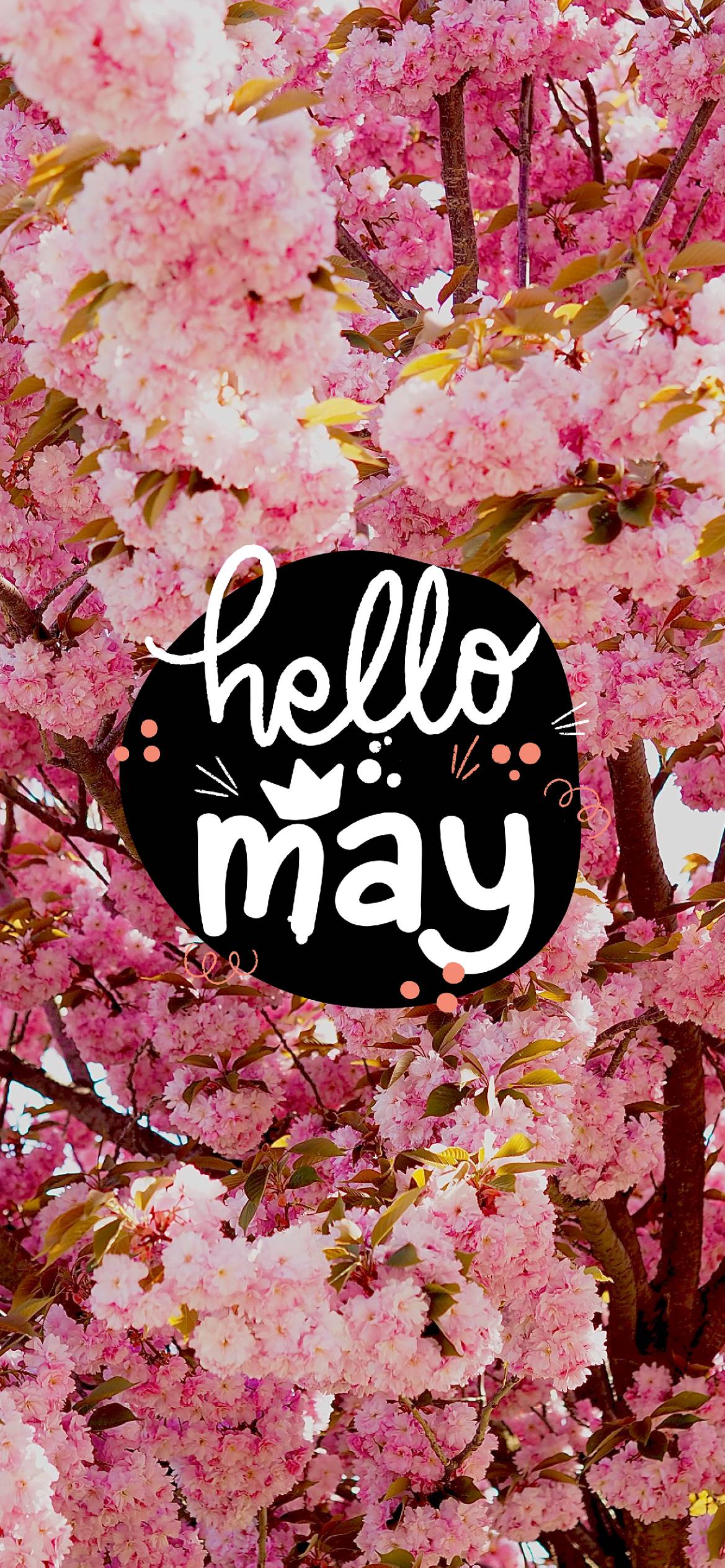 May Flowers Wallpapers