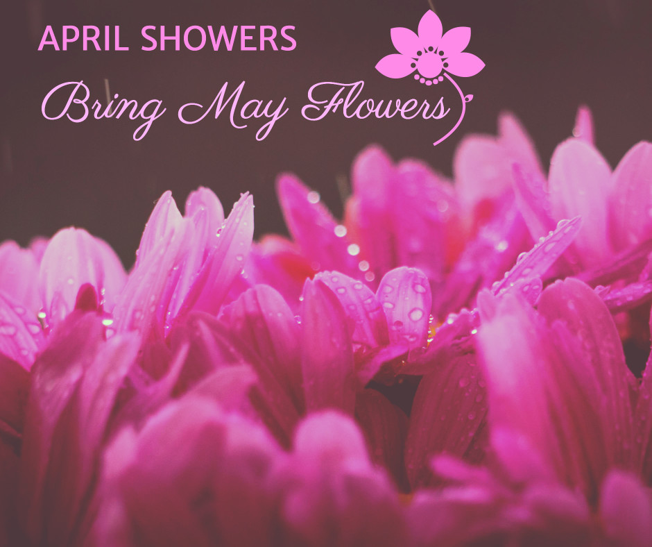 May Flowers Wallpapers