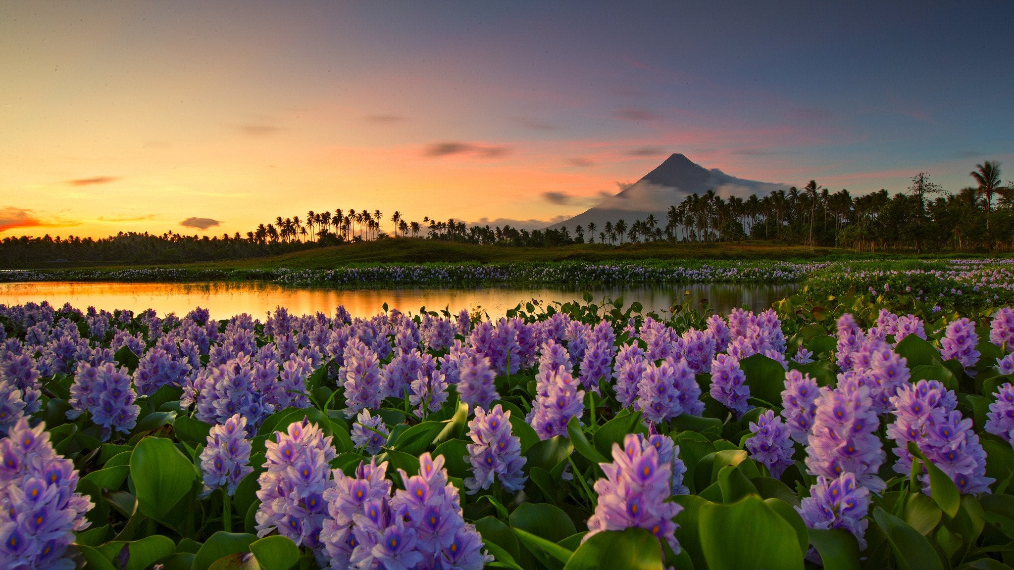 Mayon Volcano Picture Wallpapers