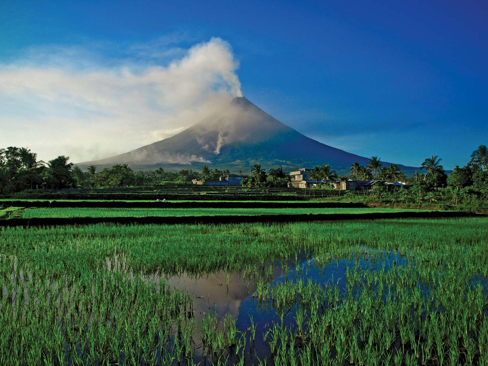 Mayon Volcano Picture Wallpapers