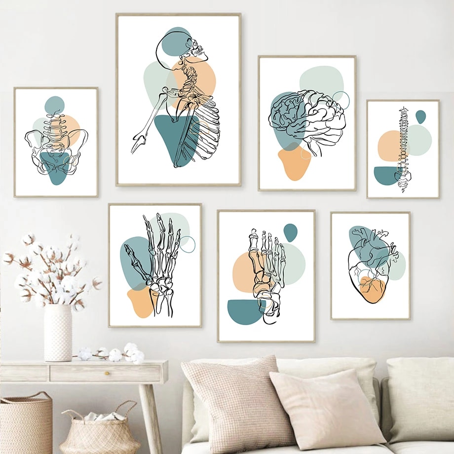 Medical Anatomy Art Wallpapers