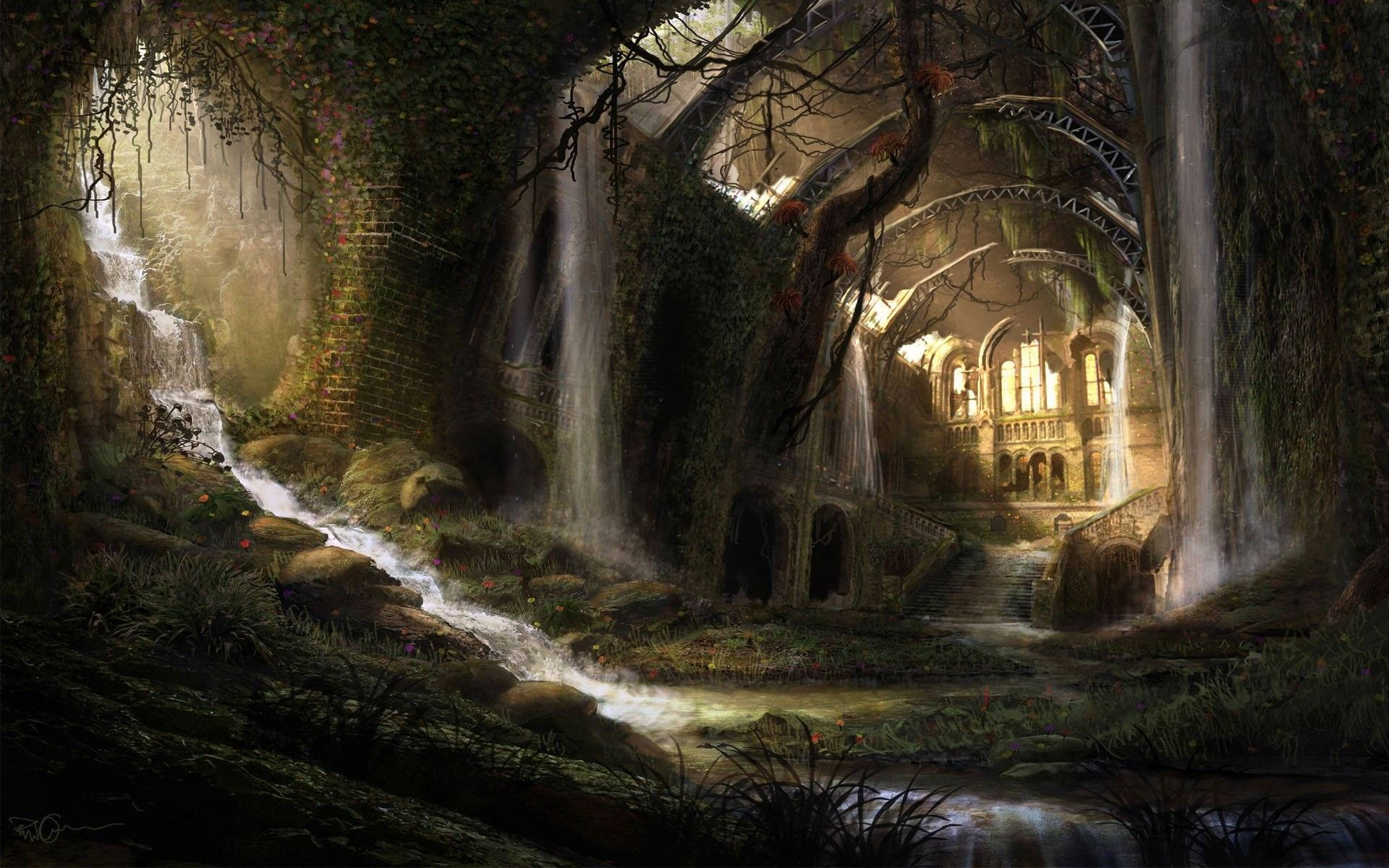 Medieval Forest Wallpapers