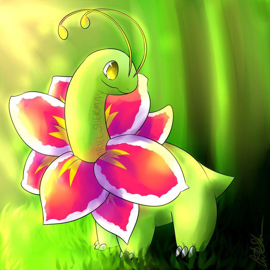 Meganium Wallpapers