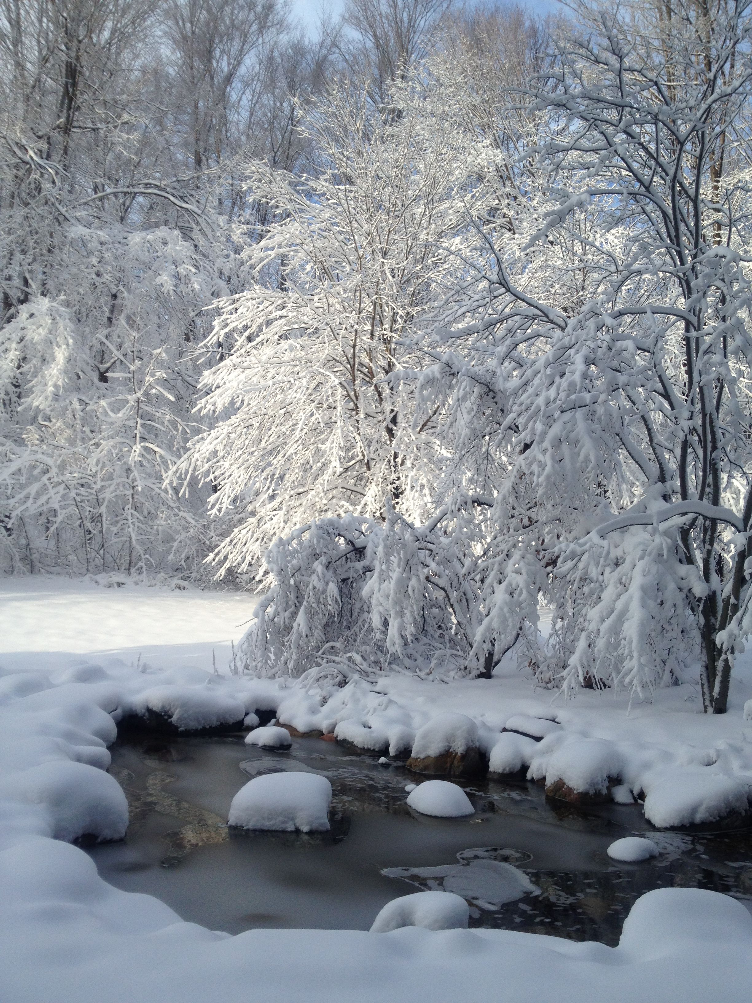 Michigan Winter Wallpapers