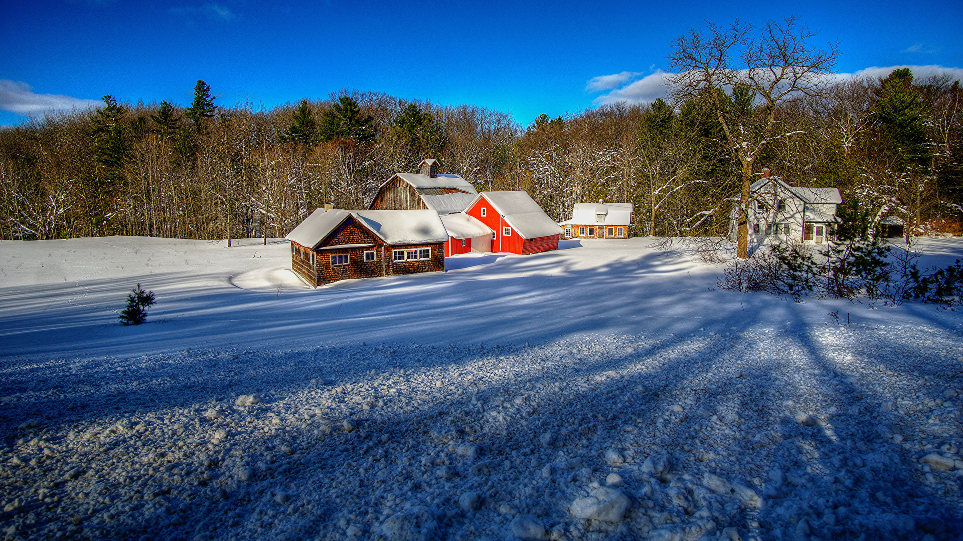 Michigan Winter Wallpapers