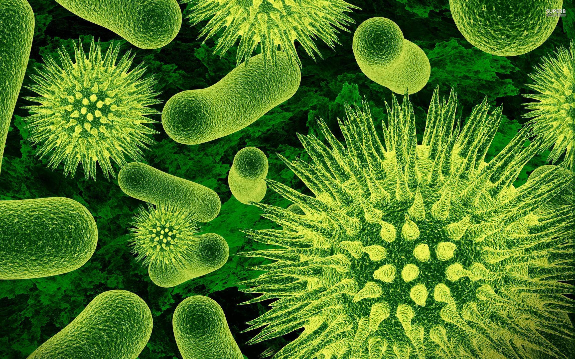 Microbiology Wallpapers