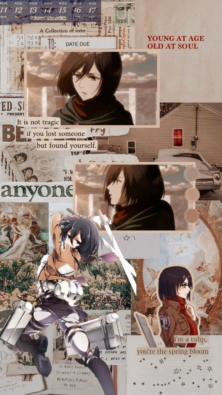 Mikasa Aesthetic Wallpapers