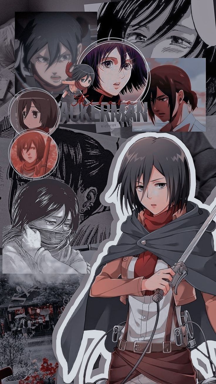 Mikasa Aesthetic Wallpapers