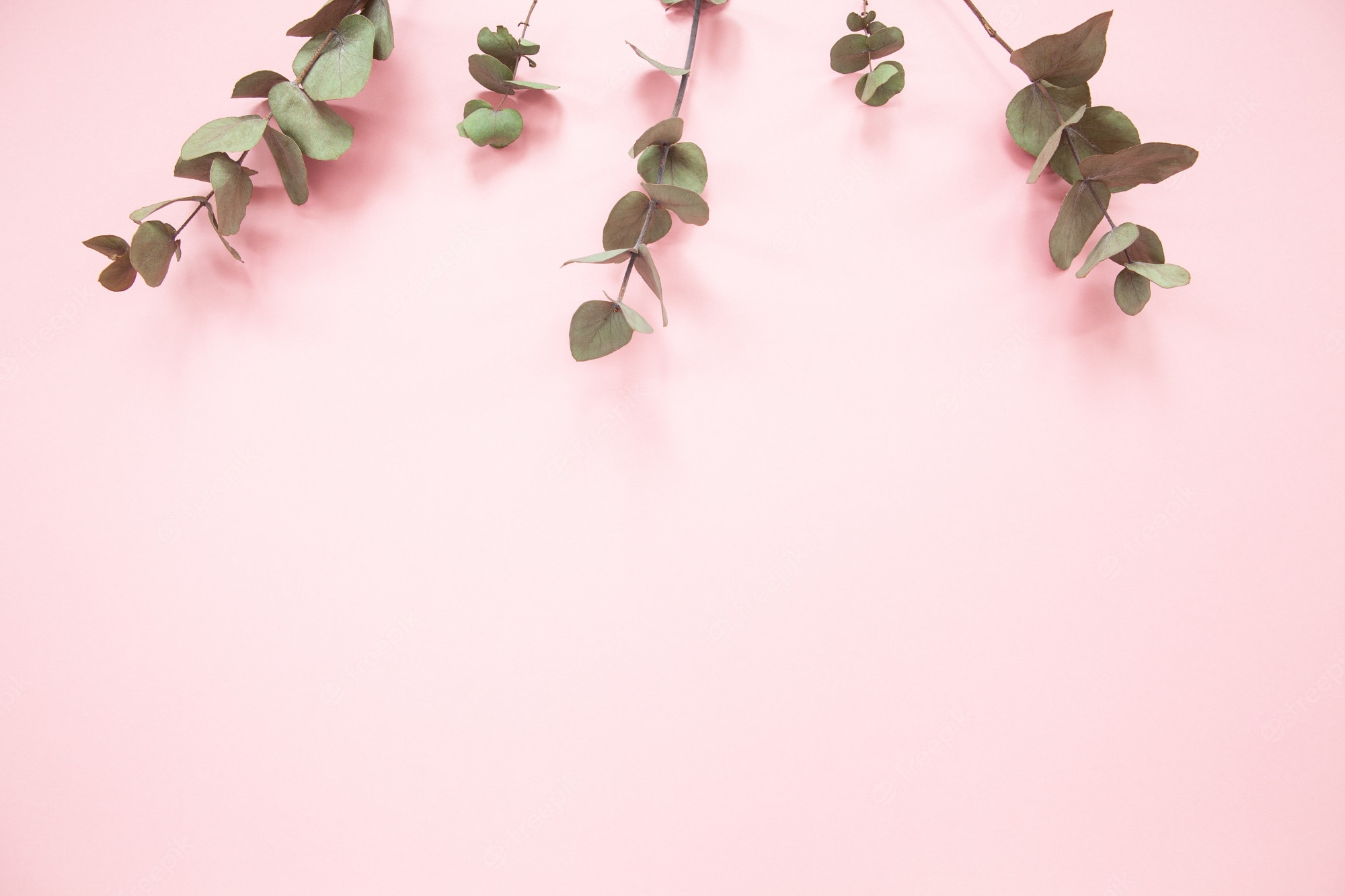 Millennial Pink Wallpapers