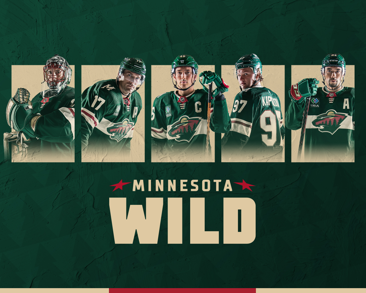 Minnesota Wild Iphone Wallpapers