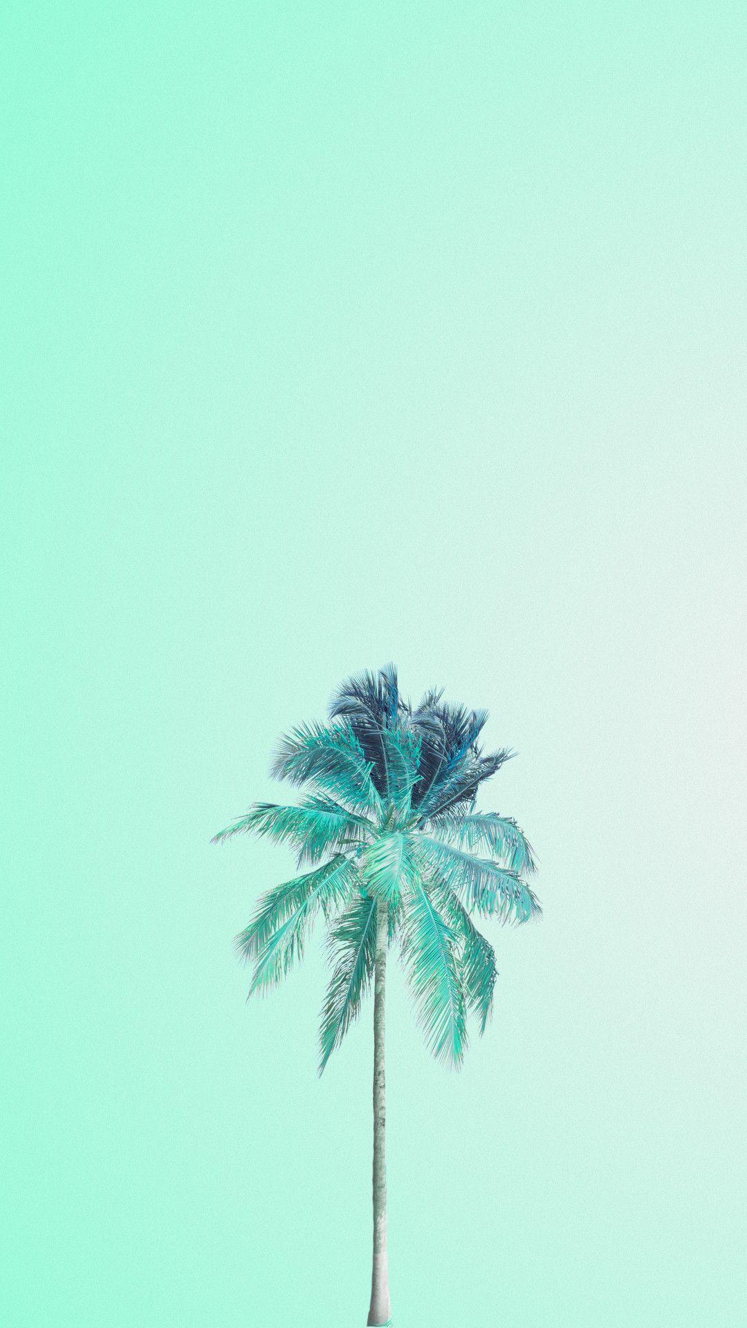 Mint Aesthetic Wallpapers