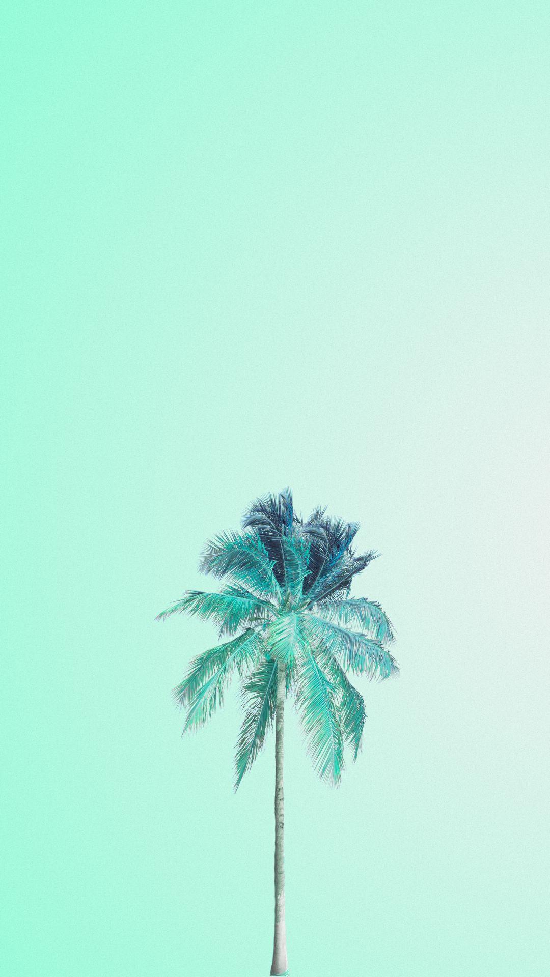 Mint Wallpapers