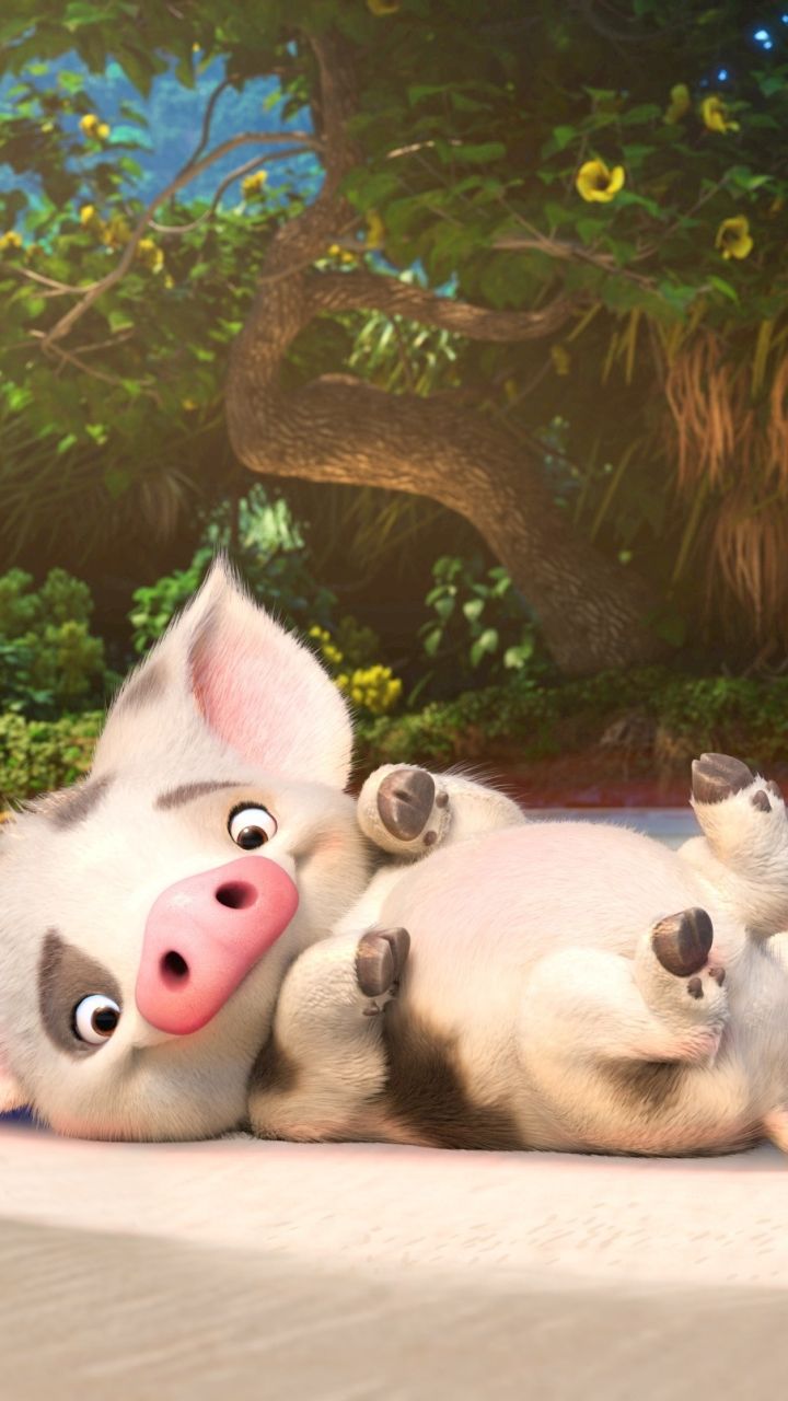 Moana Pig Wallpapers