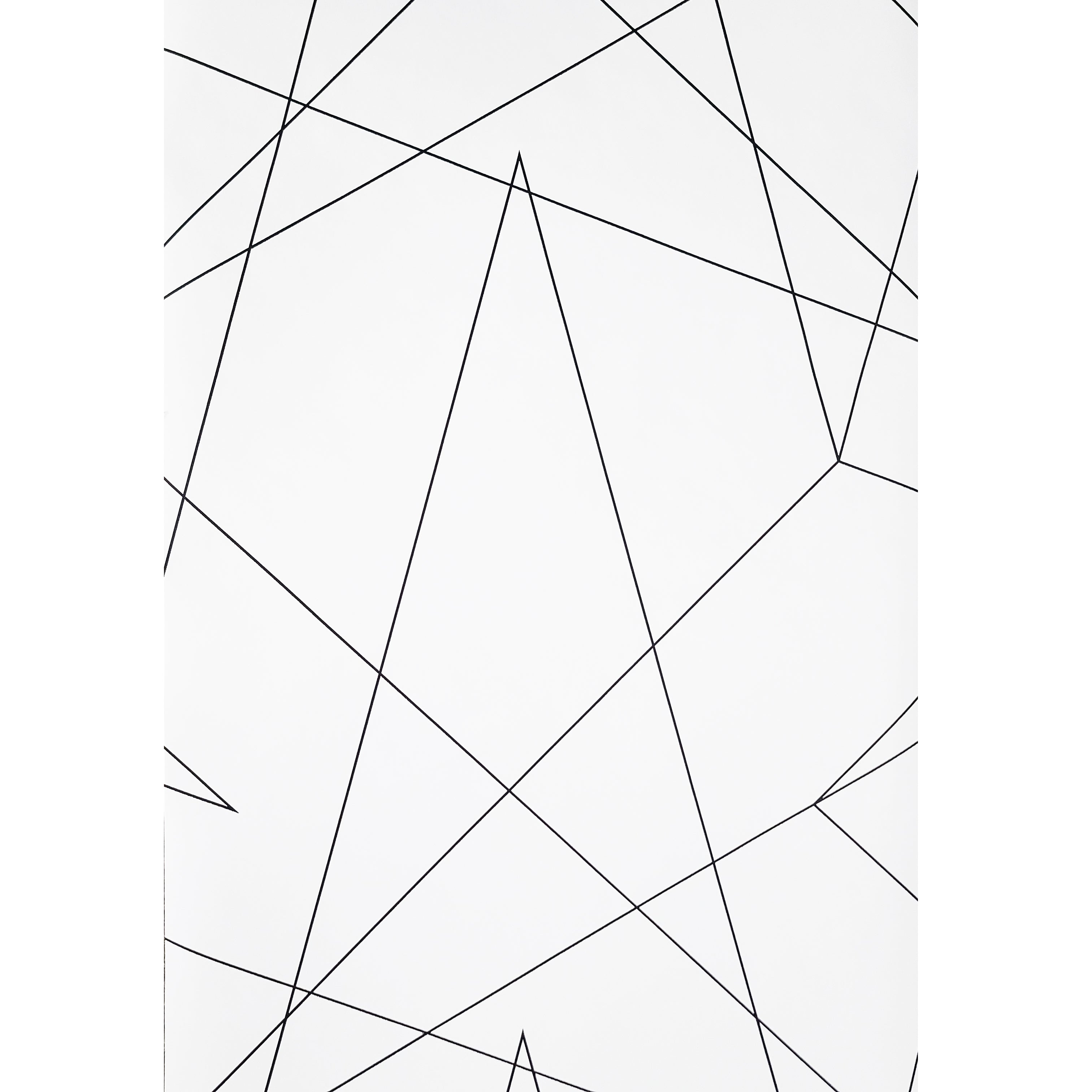 Modern Black And White Geometric Wallpapers