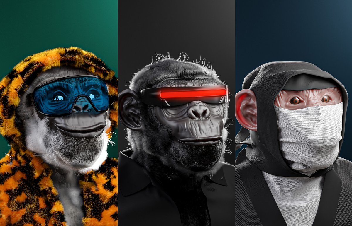 Monkey Swag Wallpapers