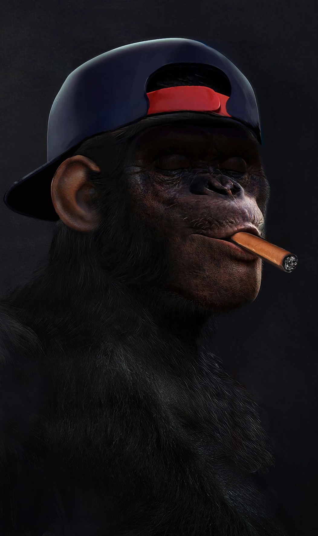 Monkey Swag Wallpapers