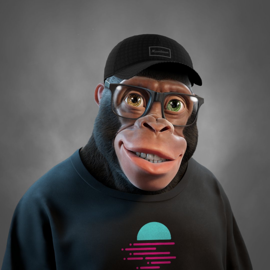 Monkey Swag Wallpapers