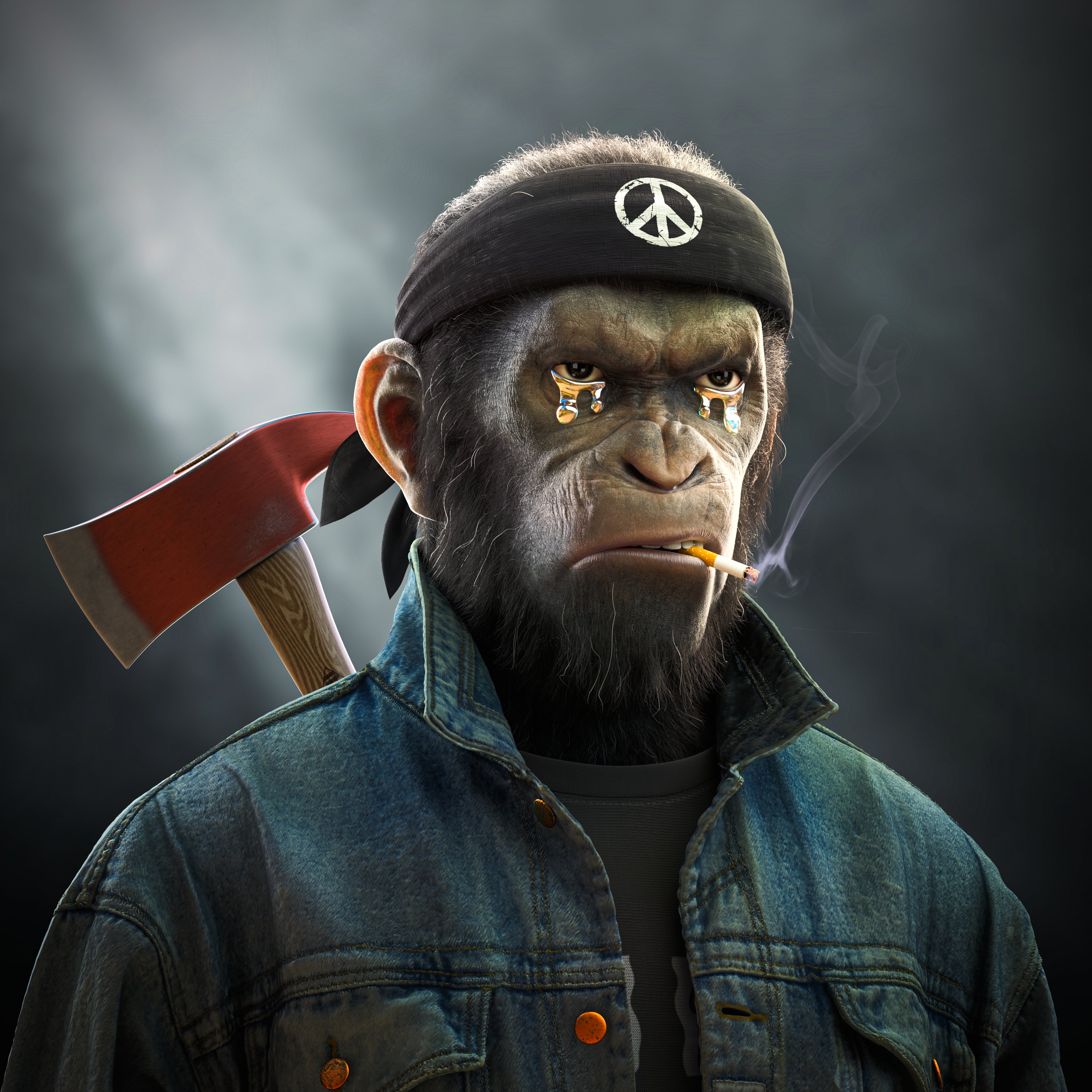 Monkey Swag Wallpapers