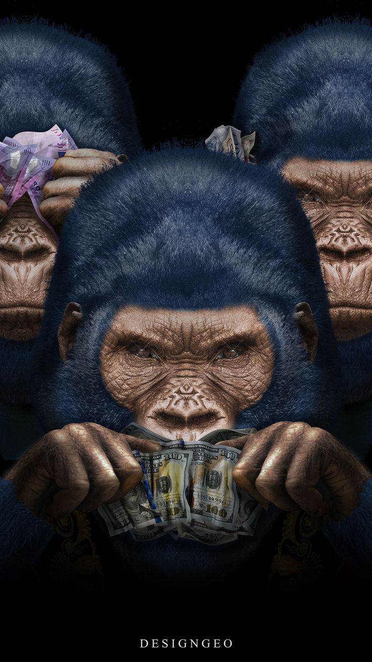 Monkey Iphone Wallpapers