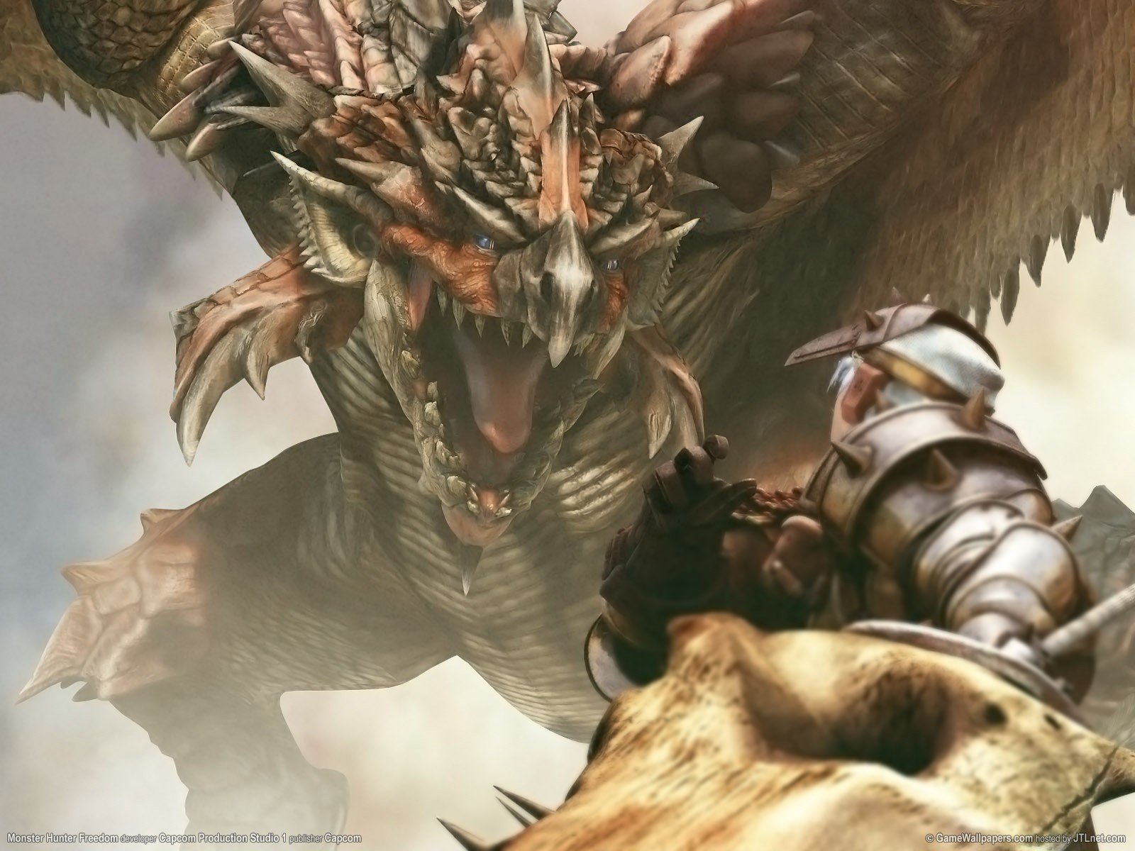 Monster Hunter Rathalos Wallpapers