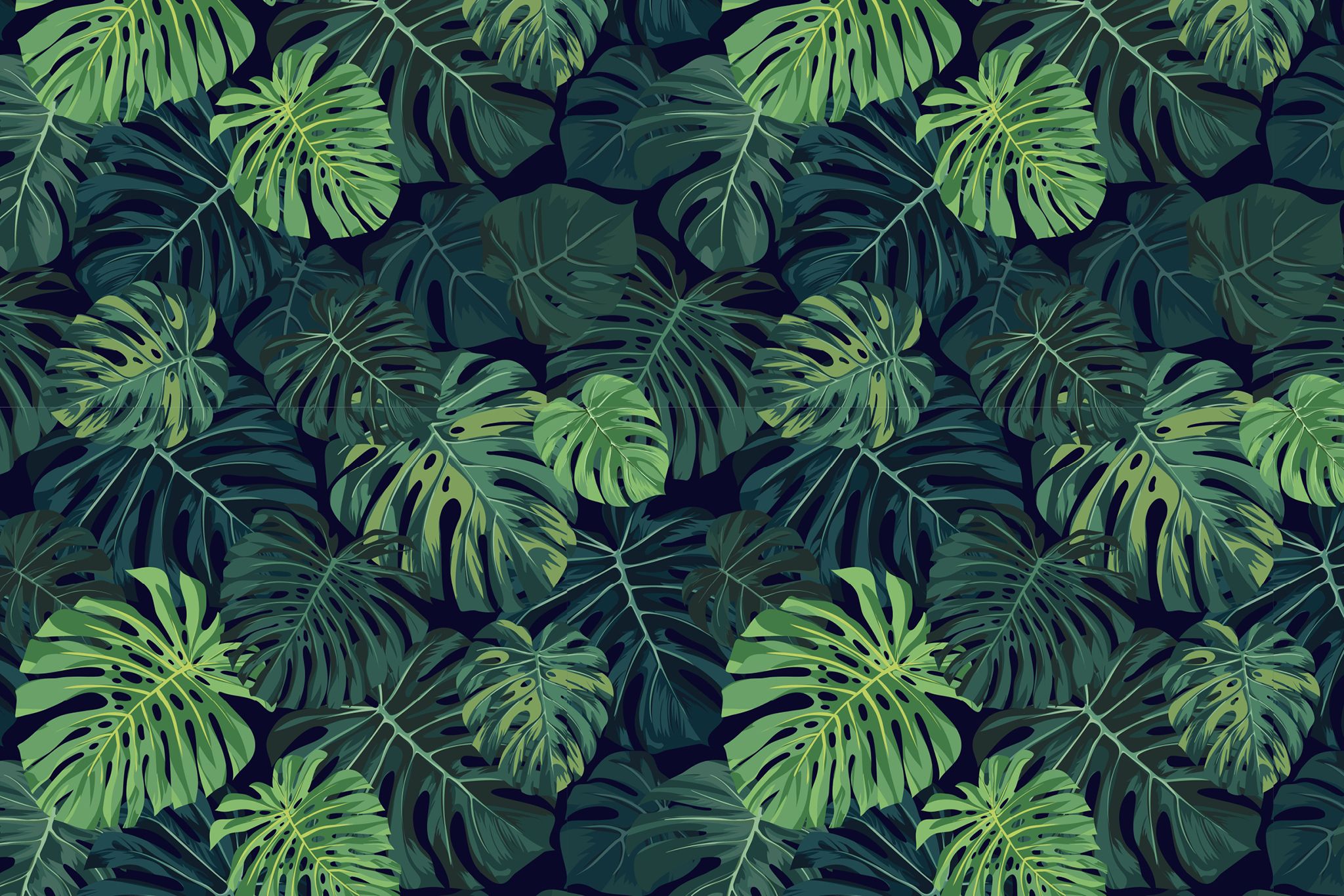 Monstera Wallpapers