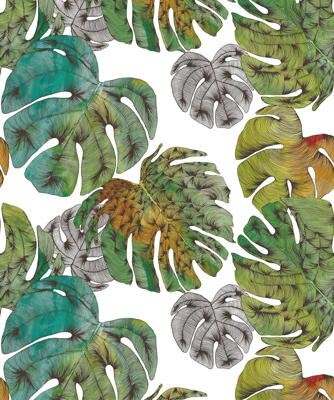 Monstera Wallpapers