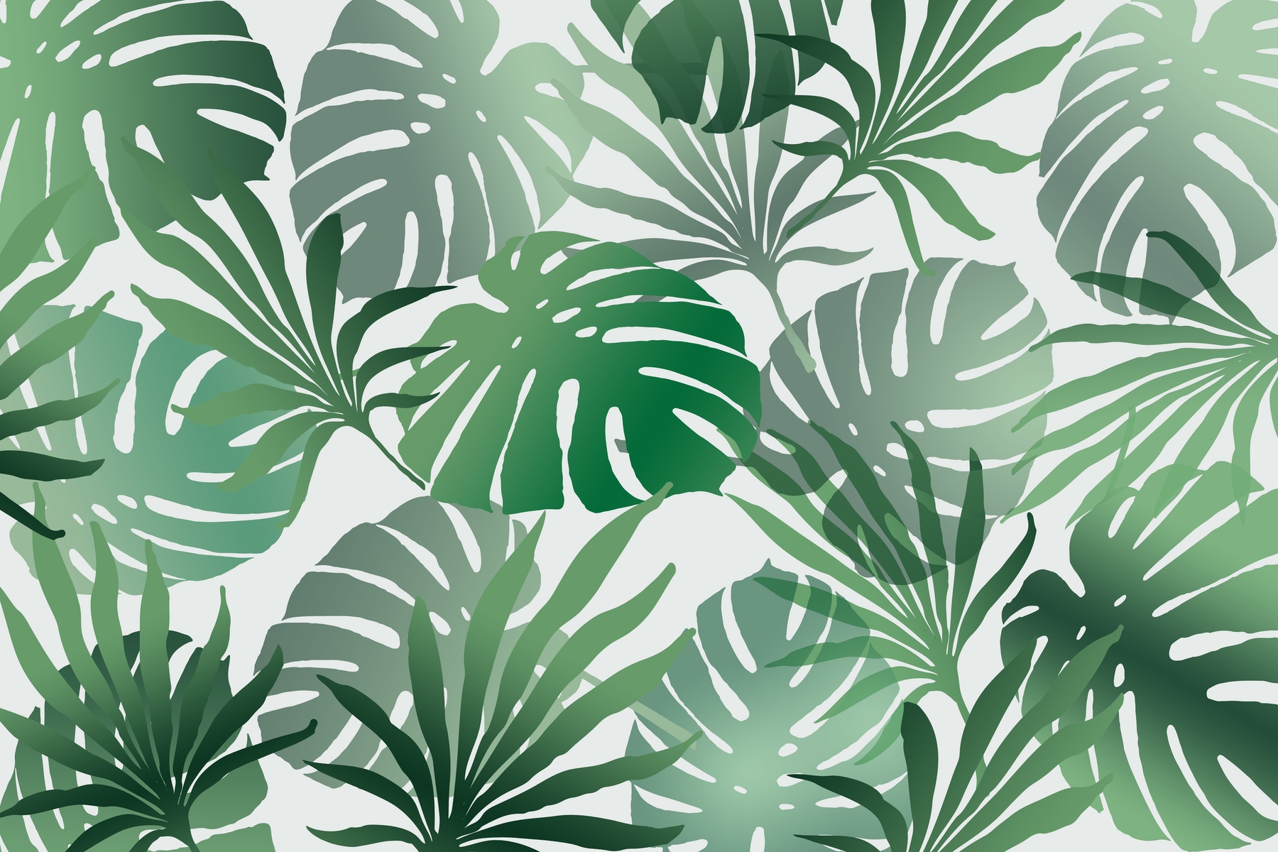 Monstera Wallpapers