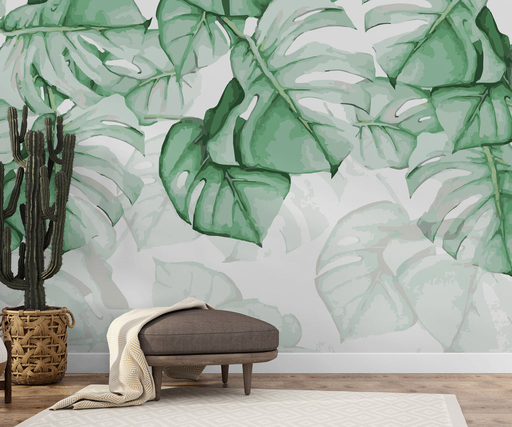 Monstera Wallpapers