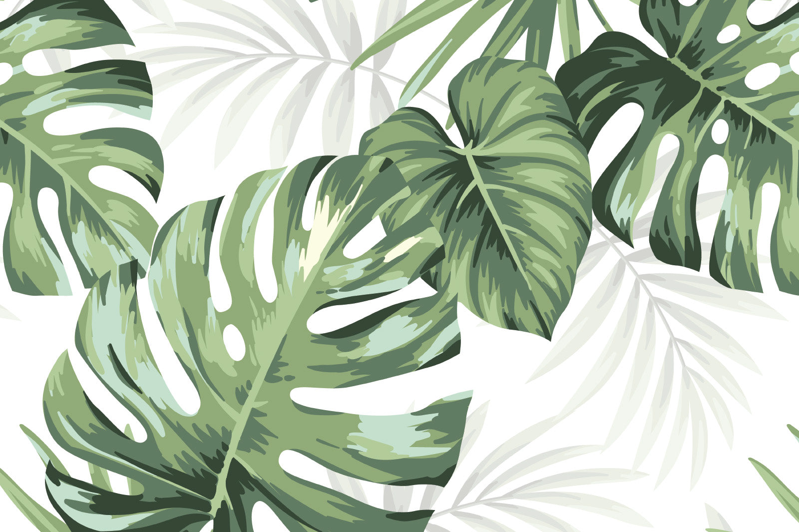 Monstera Wallpapers