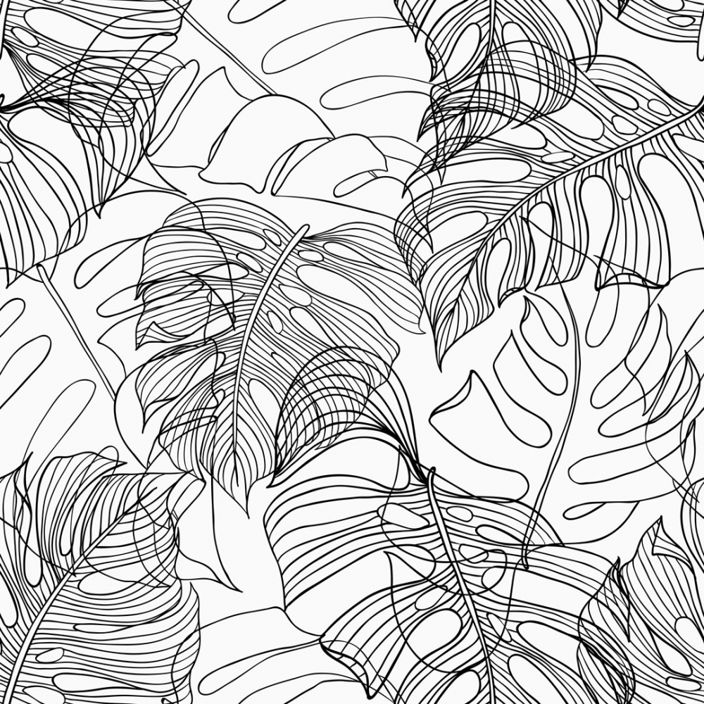 Monstera Wallpapers